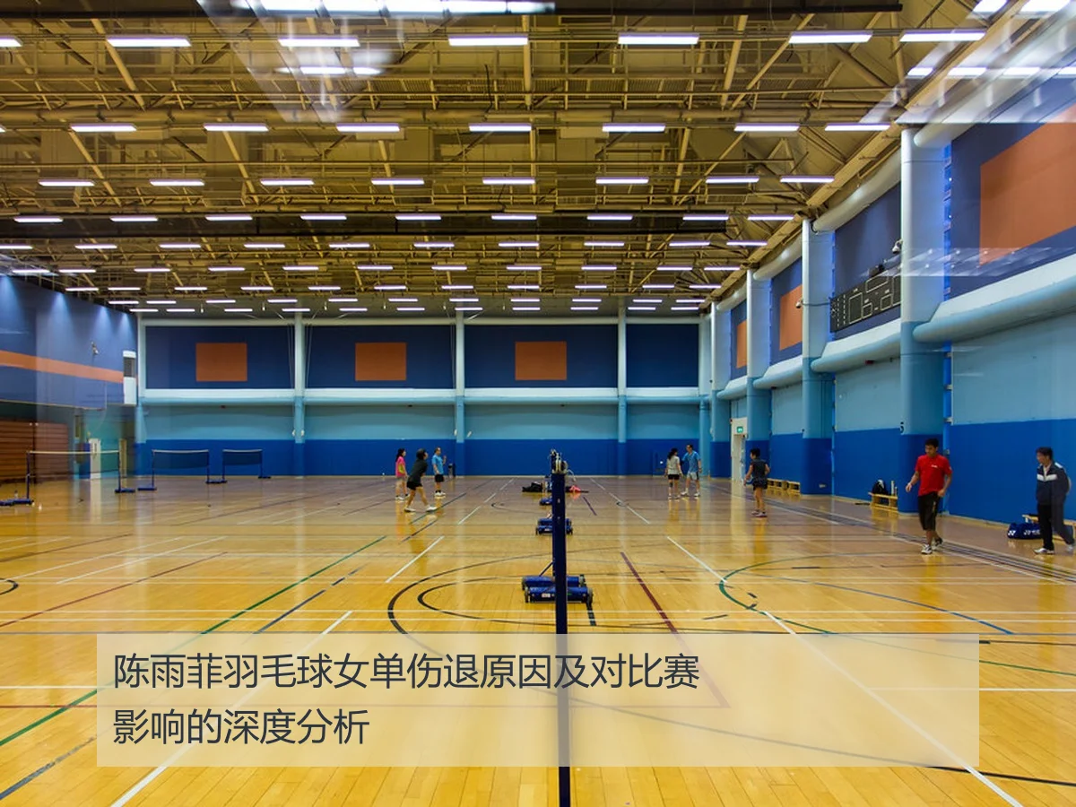 陈雨菲羽毛球女单伤退原因及对比赛影响的深度分析
